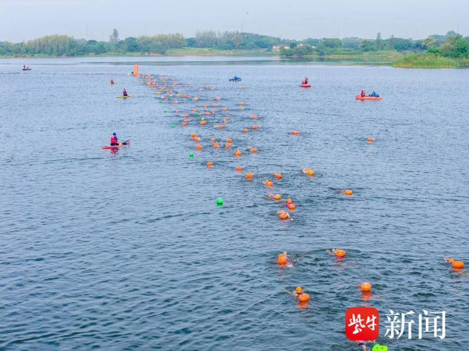 党委副书记 党委副书记